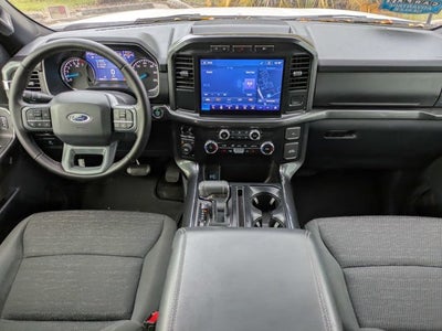 2023 Ford F-150 Base