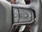 2025 RAM 1500 RHO