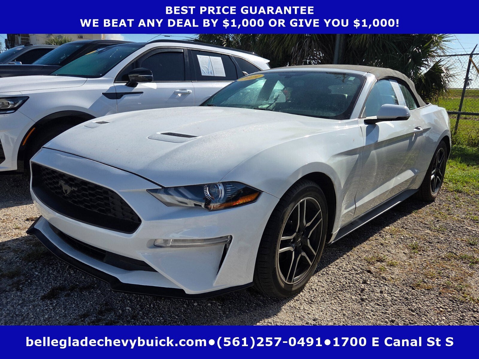2019 Ford Mustang EcoBoost Premium