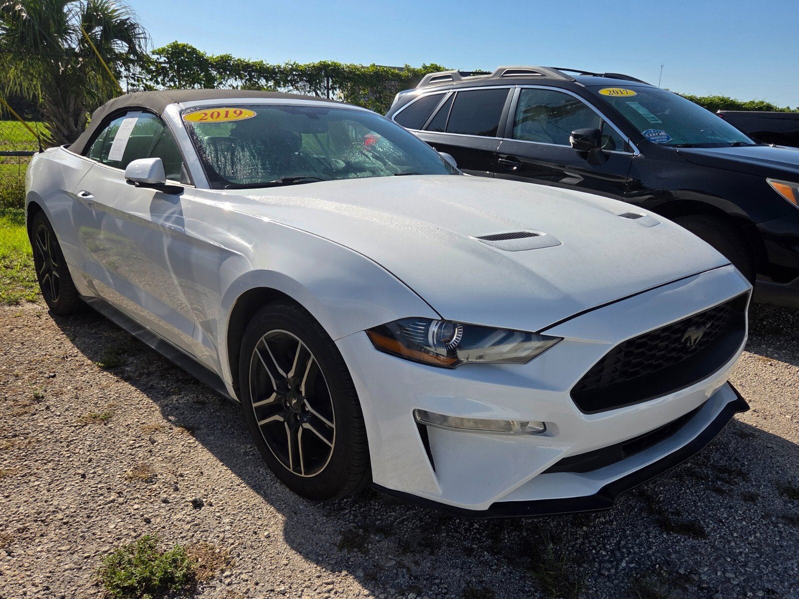 2019 Ford Mustang EcoBoost Premium