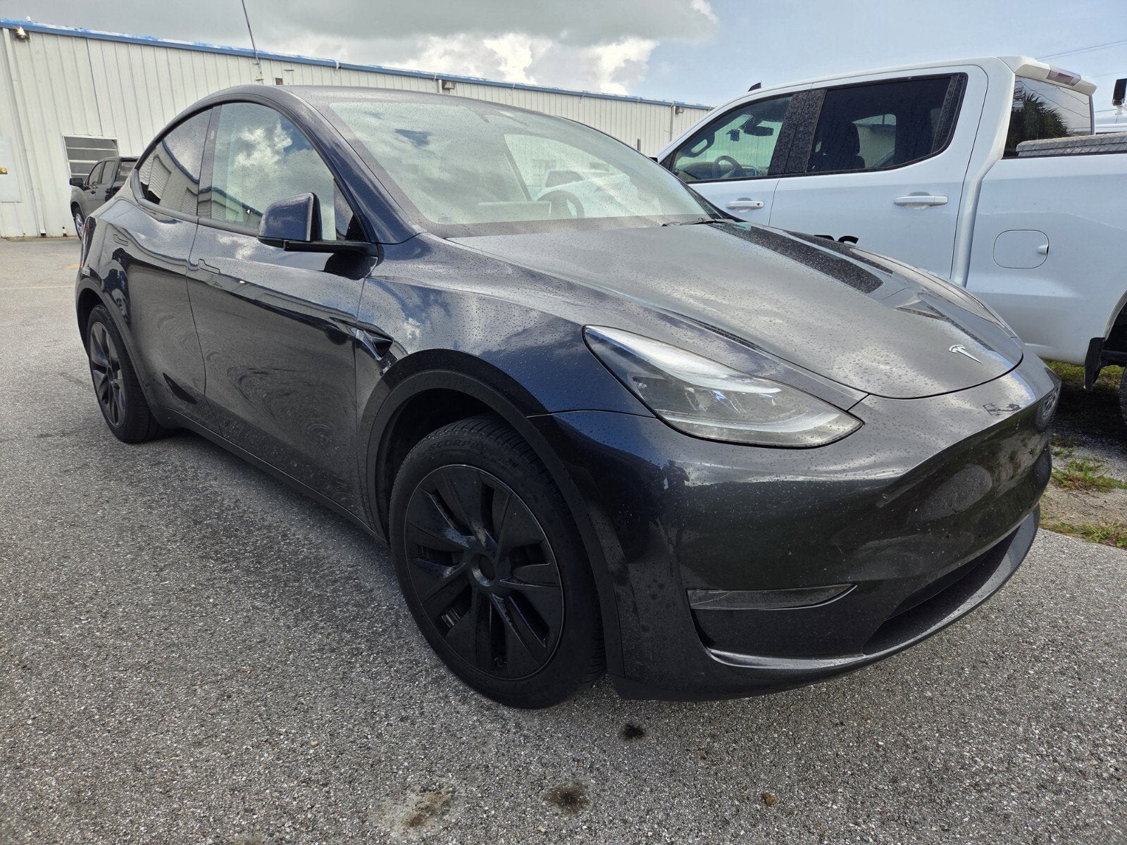 2024 Tesla Model Y Base