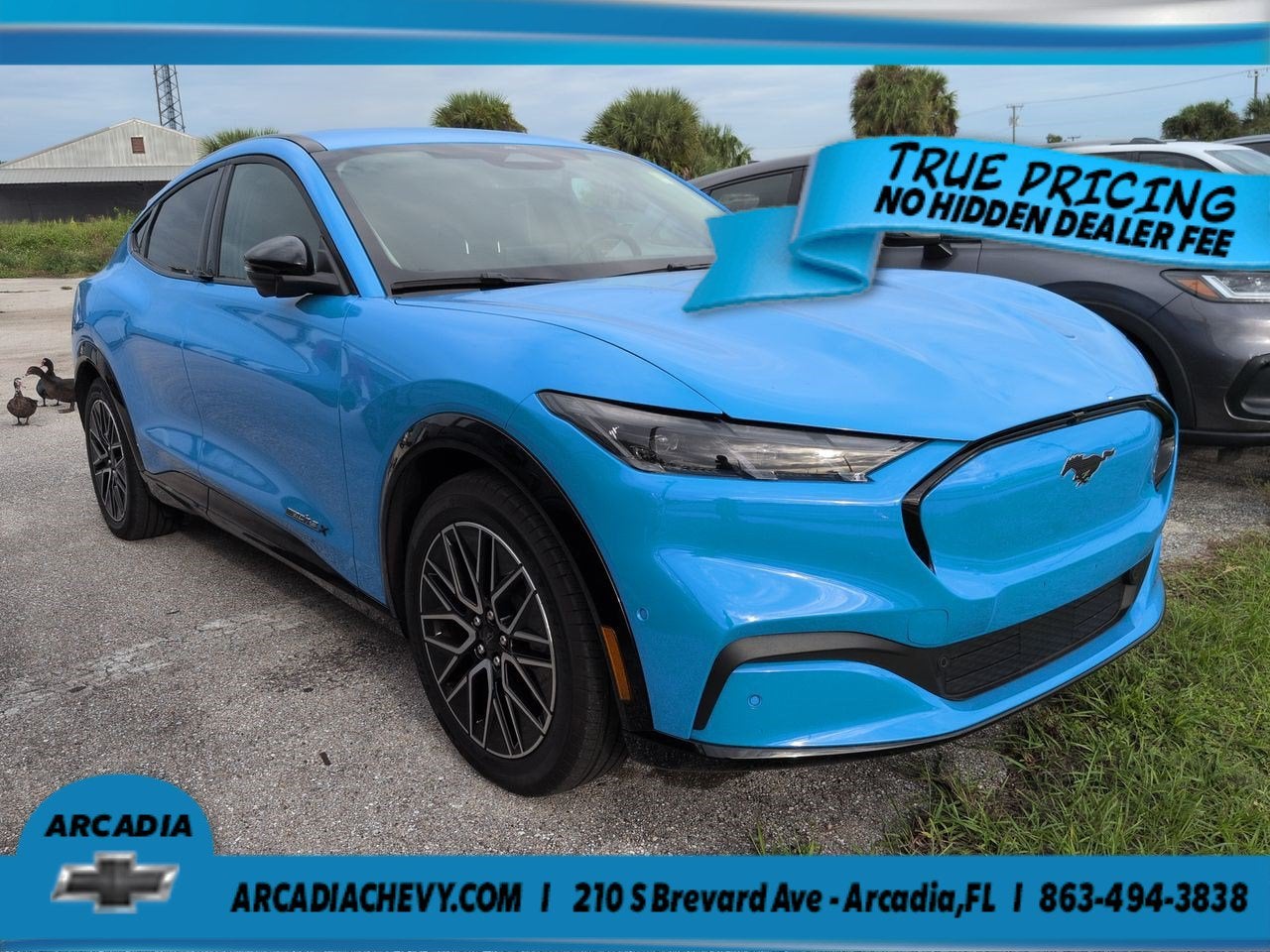 Used 2024 Ford Mustang Mach-E Premium RWD with VIN 3FMTK3R79RMA22271 for sale in Quincy, FL